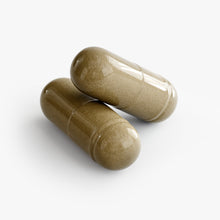 Load image into Gallery viewer, Ginkgo Biloba &amp; Ginseng