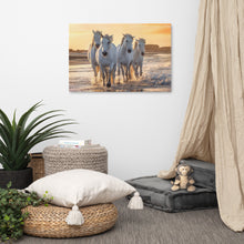 Load image into Gallery viewer, Beach Horses Canvas