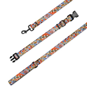 Paisley Party Pet Collar & Leash