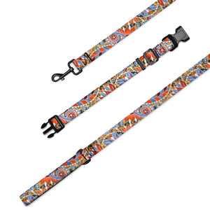 Paisley Party Pet Collar & Leash