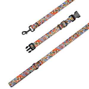 Paisley Party Pet Collar & Leash