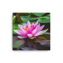 Load image into Gallery viewer, Green and Pink Flower Canvas - Happiness Looks Beautiful