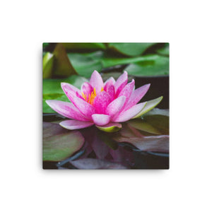 Green and Pink Flower Canvas - Happiness Looks Beautiful