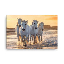 Load image into Gallery viewer, Beach Horses Canvas - Happiness Looks Beautiful